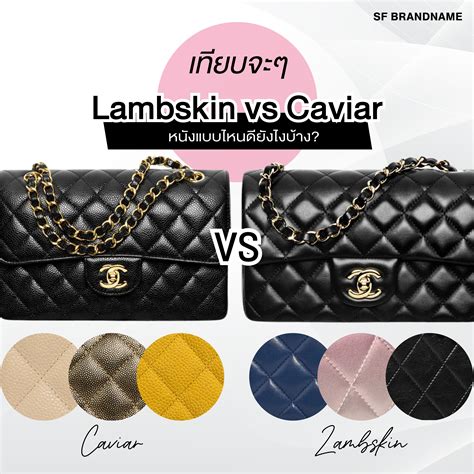 Lambskin vs Caviar: Chanel Leather Guide 